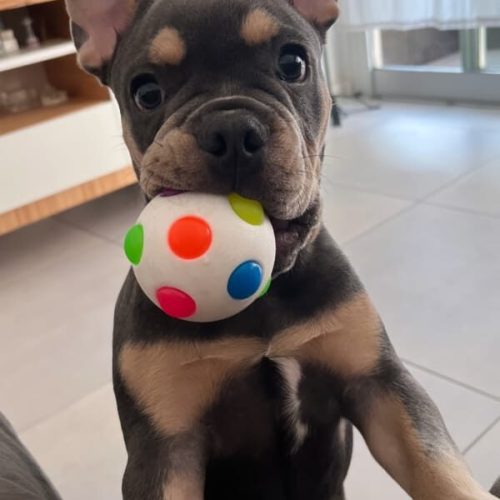 WhatsApp Image 2025-12-10 at 13.09.32 (1) (1)